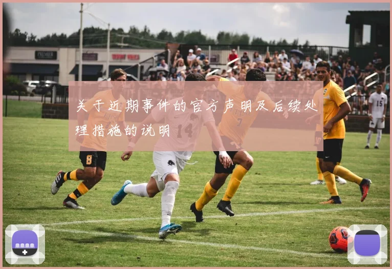 关于近期事件的官方声明及后续处理措施的说明