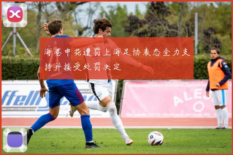 海港申花遭罚上海足协表态全力支持并接受处罚决定