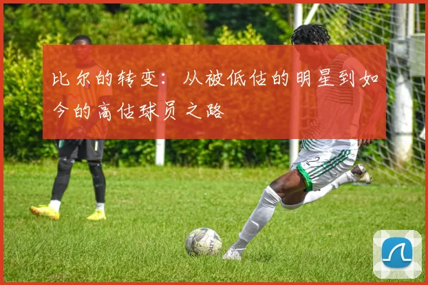 比尔的转变：从被低估的明星到如今的高估球员之路