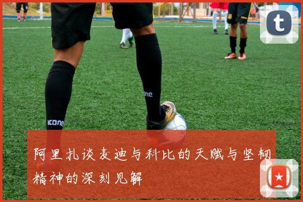 阿里扎谈麦迪与科比的天赋与坚韧精神的深刻见解