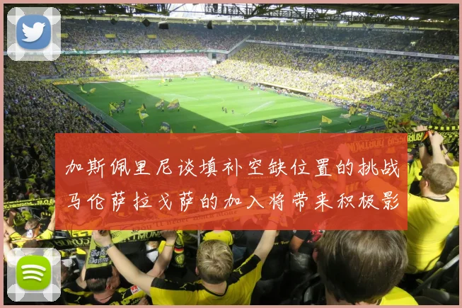 加斯佩里尼谈填补空缺位置的挑战马伦萨拉戈萨的加入将带来积极影响