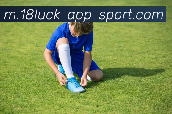 18新利体育APP 高清赛事图